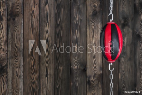 Picture of Punching bag